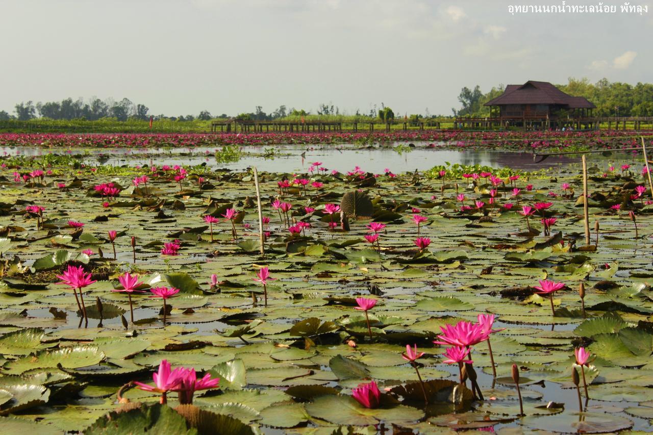Banpak Suankaew Talaynoi Hotel พัทลุง ภายนอก รูปภาพ