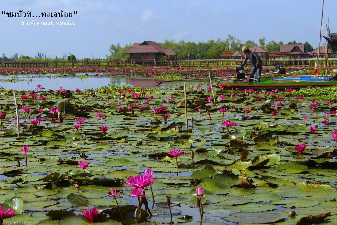 Banpak Suankaew Talaynoi Hotel พัทลุง ภายนอก รูปภาพ