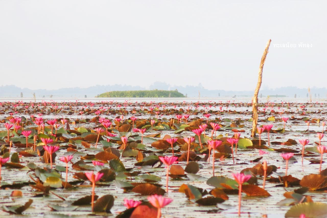 Banpak Suankaew Talaynoi Hotel พัทลุง ภายนอก รูปภาพ